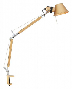 Офисная настольная лампа Favourite Legend 2840-1T
