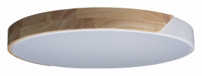 Потолочный светильник Loft IT Axel 10004/36 White