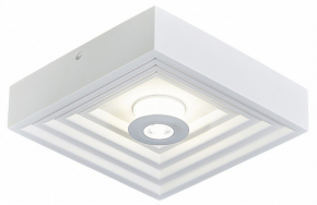 Настенно-потолочный светильник Escada Gesso 10218/SG LED