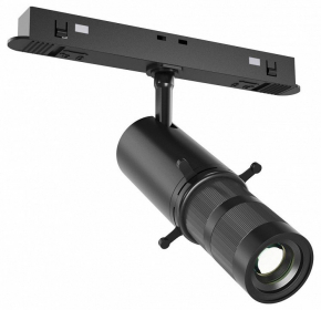 Потолочная люстра EVOLUCE Acini SL711.202.06