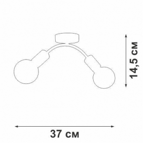 Торшер Wertmark Wetmark Fiorita WE241.39.005