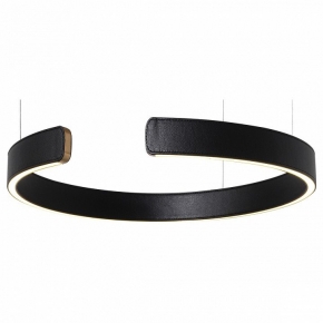 Подвесной светодиодный светильник Loft IT Ring 10025/400 Black