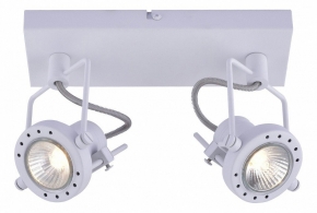 Настенно-потолочный светильник Arte Lamp Costruttore A4300AP-2WH