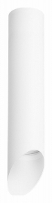 Точечный светильник Lightstar Rullo R49636