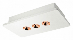 Потолочный светодиодный светильник Loft IT Architect OL1072-WG/3