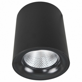 Потолочный светодиодный светильник Arte Lamp Facile A5130PL-1BK