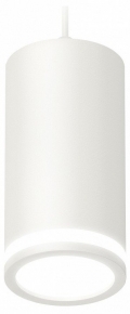 Накладной светильник Elektrostandard 1021 a047883