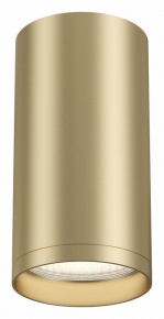 Потолочный светильник Maytoni Focus S C052CL-01MG