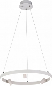 Подвесная светодиодная люстра Reluce 02476-0.4-500