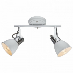 Спот Arte Lamp A1677PL-2WH