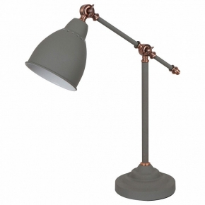 Настольная лампа Arte Lamp Braccio A2054LT-1GY