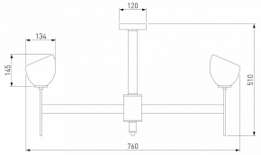 Подвесная люстра Reccagni Angelo L 5500/3