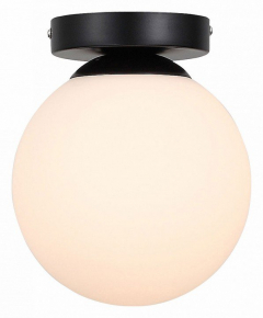 Настенно-потолочный светильник ST Luce Acini SL717.401.01