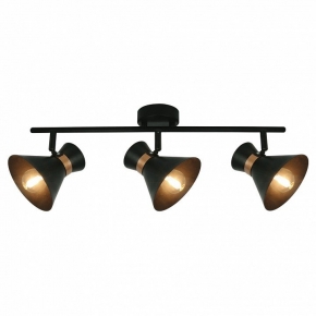 Настенно-потолочный светильник Arte Lamp Baltimore A1406PL-3BK