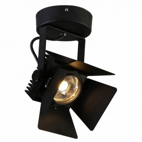 Потолочный светильник Favourite Projector 1770-1U