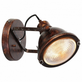Настенно-потолочный светильник Favourite Industria 1898-1W