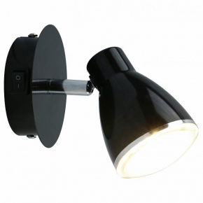 Настенный светильник Arte Lamp Gioved A6008AP-1BK