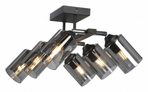 Потолочная люстра Vitaluce V2833-1/6PL