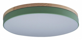 Потолочный светильник Loft IT Axel 10001/36 Green