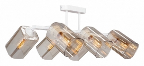 Потолочная люстра Vitaluce V4895-0/6PL