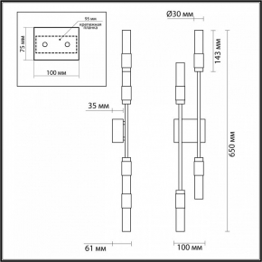 Накладной светильник Elektrostandard 101-100-30-78 a041490