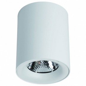 Потолочный светильник Arte Lamp Facile A5118PL-1WH