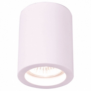 Потолочный светильник Arte Lamp Tubo A9260PL-1WH