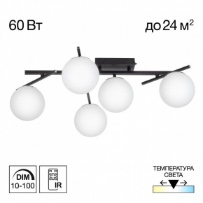 Светильник потолочный Lussole Lente LSC-2507-01