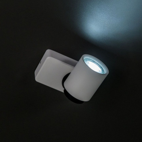 Потолочный светодиодный светильник Lightstar Zolla 380293