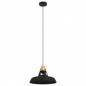 Подвесной светильник Lussole Loft GRLSN-6126-01