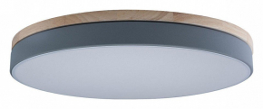 Потолочный светильник Axel 10001/36 Grey