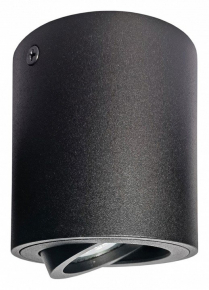 Накладной светильник Lightstar Binoco 52007