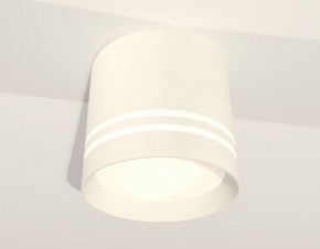 Потолочный светильник Arte Lamp Pictor A5654PL-2GY