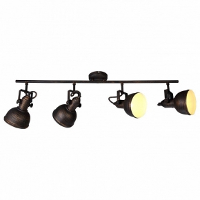 Потолочный светильник Arte Lamp Martin A5215PL-4BR