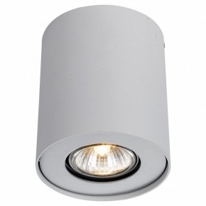 Потолочный светильник Arte Lamp Falcon A5633PL-1WH