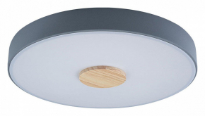 Потолочный светильник Loft IT Axel 10003/24 Grey