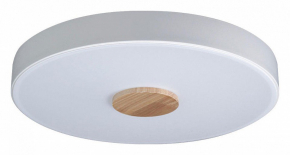 Потолочный светильник Loft IT Axel 10003/24 White