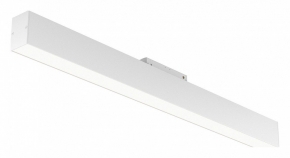 Трековый светильник Maytoni BASIS TR012-2-20W4K-W