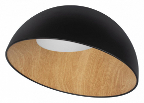 Потолочный светильник Loft IT Egg 10197/500 Black