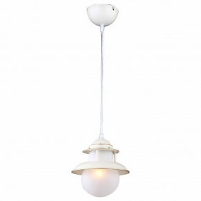 Подвесная люстра Odeon Light Nicole 4886/7