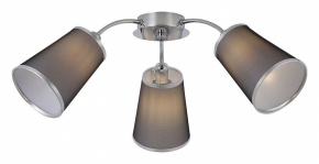 Потолочная люстра Evoluce Maleonte SLE103002-03