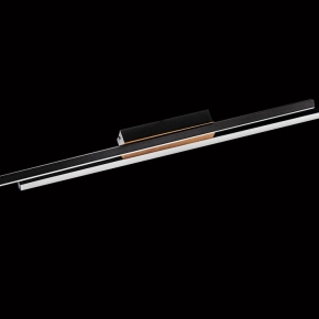 Светильник настенно-потолочный Citilux Ринг CL525540