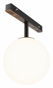 Трековый светильник Maytoni Luna TR038-2-5W3K