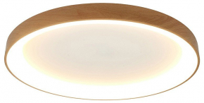 Потолочный светодиодный светильник Mantra Niseko II 8643