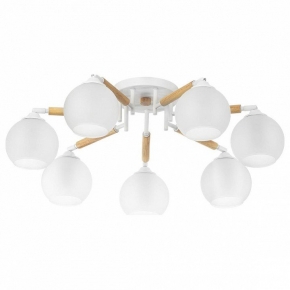Потолочная люстра Citilux Tika CL133170