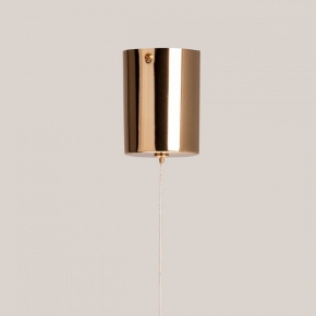 Подвесная люстра Indigo Carletti 12041/10P Gold