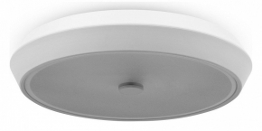 Накладной светильник Freya LED FR10012CL-L24W