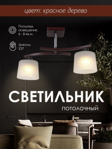 Потолочная люстра Мелодия Света SS1N 0000 24060