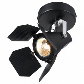Настенно-потолочный светильник Arte Lamp Cinema A3092AP-1BK
