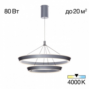 Потолочная люстра Reluce 11353-0.3-06A BK+FGD